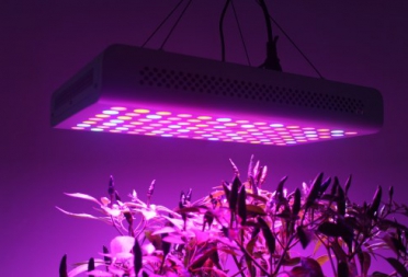 What is the principle of plant lamp growth lamp