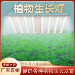 Plant growth lamp