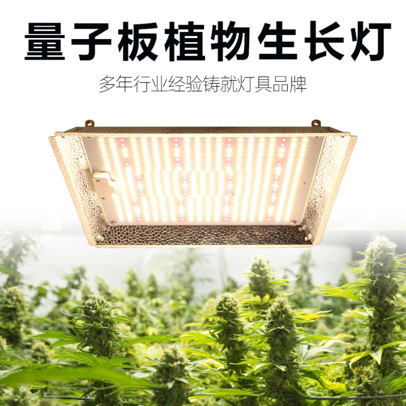 Quantum board plant lamp