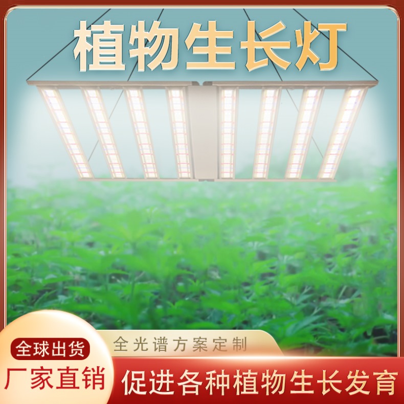 Plant growth lamp